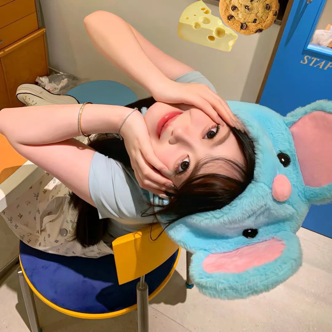 巅峰拍档第十七季